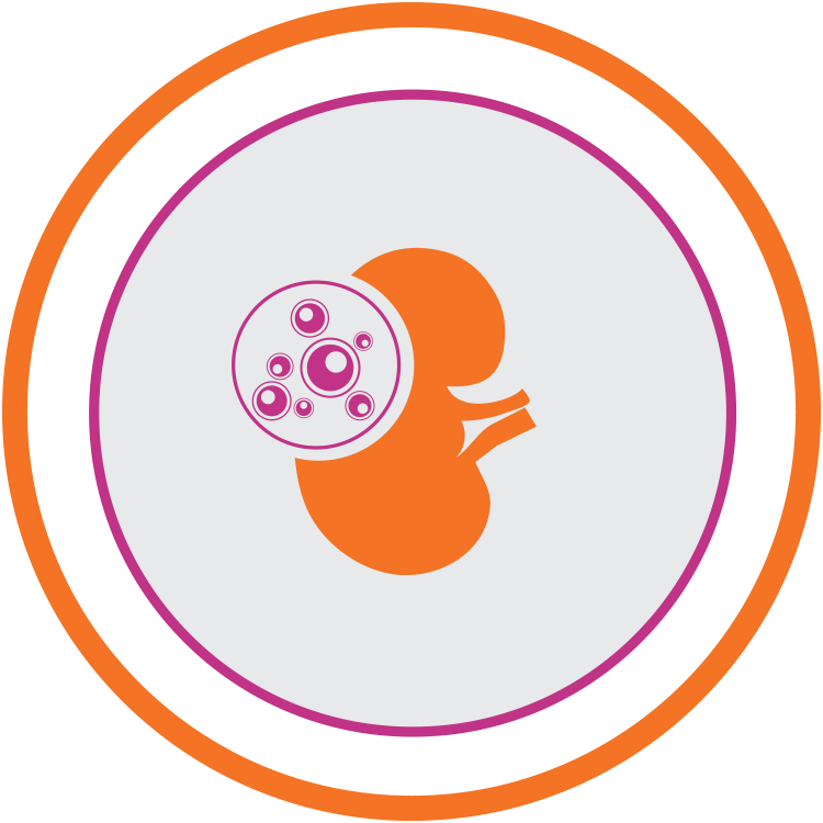 Doctor performing kidney transplant